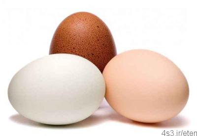 نکات مهم در نگهداری تخم مرغ