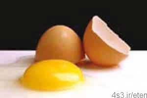 نگهداری طولانی تخم مرغ