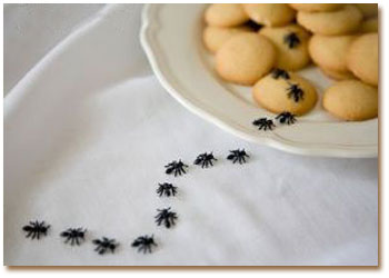 دور کننده مورچه‌ها !