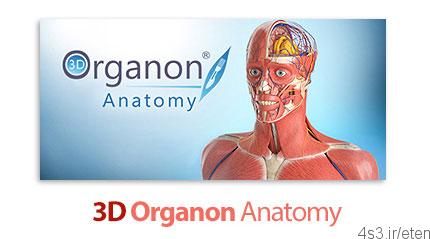 دانلود نرم افزار نمایش سه بعدی آناتومی بدن ۳D Organon Anatomy