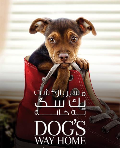 دانلود فیلم A Dogs Way Home 2019 مسیر بازگشت یک سگ به خانه با دوبله فارسی و کیفیت عالی