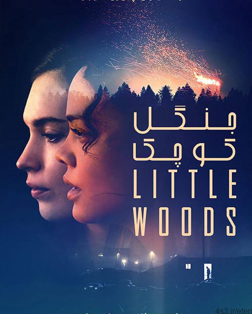 دانلود فیلم Little Woods 2018 جنگل کوچک با زیرنویس فارسی و کیفیت عالی