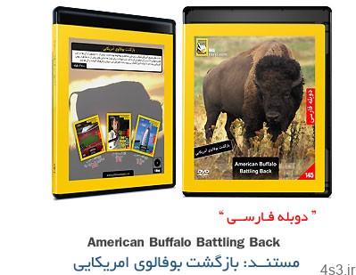 دانلود American Buffalo Battling Back – مستند دوبله فارسی بازگشت بوفالوی امریکایی