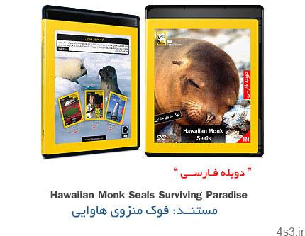 دانلود Hawaiian Monk Seals Surviving Paradise – مستند دوبله فارسی فوک منزوی هاوایی
