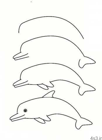 آموزش کشیدن نقاشی دلفین