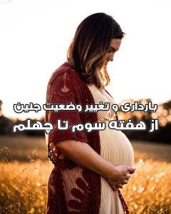 دانلود کتاب بارداری و تغییر وضعیت جنین سایت 4s3.ir