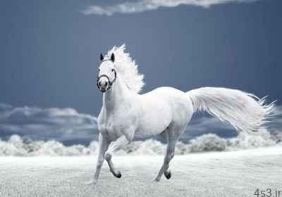 اسب سفید وحشی اثر منوچهر آتشی