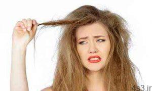برای درمان موهای خشک و شکننده چه باید کرد؟ سایت 4s3.ir
