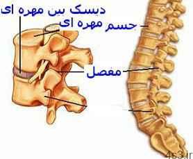 درد دنبالچه و چند ورزش ساده برای تسکین درد (+عکس) سایت 4s3.ir