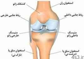 ورزش های ساده برای پیشگیری از درد ساق پا (+تصاویر) سایت 4s3.ir