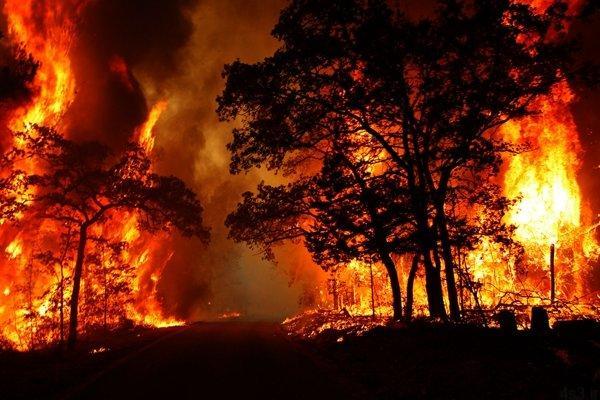 آتش‌سوزی در جنگل‌های گچساران ادامه دارد