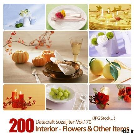 دانلود مجموعه عکس های وسایل تزیینی – Datacraft Sozaijiten Vol.170 Interior – Flowers & Other items