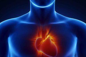 7 عاملی که خطر ابتلا به بیماری های قلبی را افزایش می دهد سایت 4s3.ir