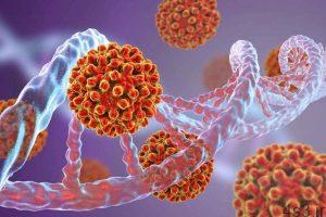 خبرهای پزشکی : ابداع روش درمانی جدید برای ویروس هپاتیت ب سایت 4s3.ir