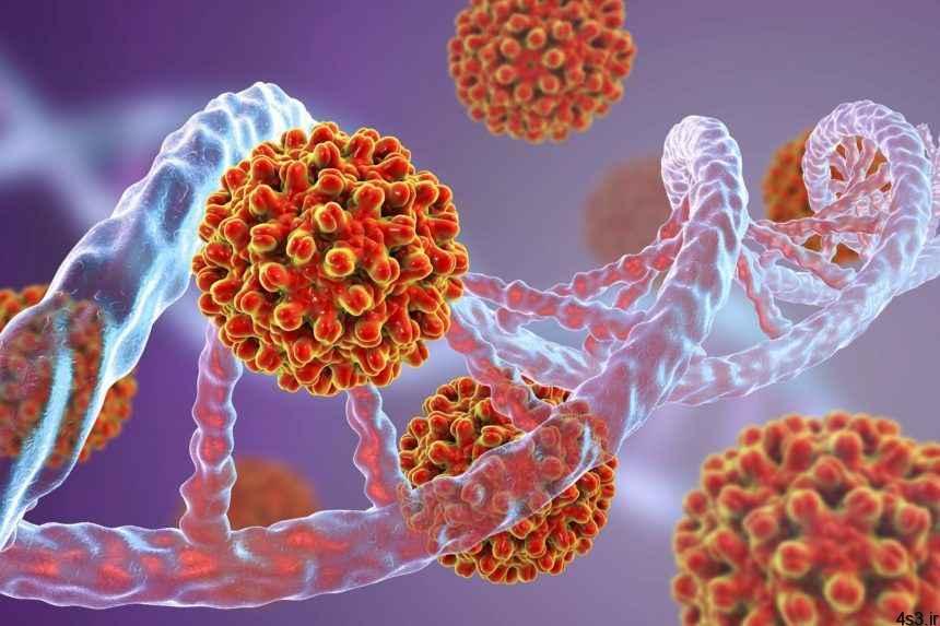خبرهای پزشکی : ابداع روش درمانی جدید برای ویروس هپاتیت ب