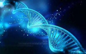 خبرهای پزشکی : اختلالات اضطرابی ریشه ژنتیکی دارند سایت 4s3.ir