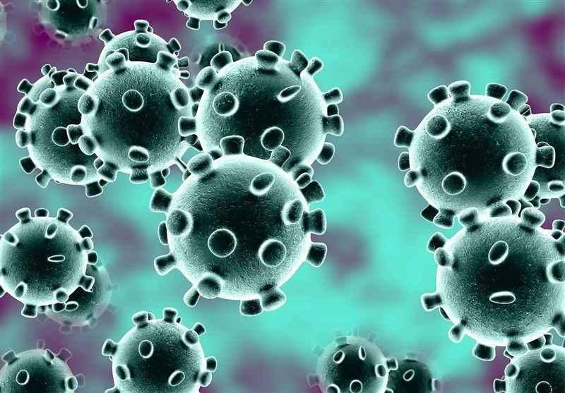 خبرهای پزشکی : افزایش آمار قربانیان ویروس کرونا در فرانسه به ۳۰ نفر/ افزایش شمار افراد آلوده به کرونا در نیویورک؛ قرنطینه منطقه نیوراشل