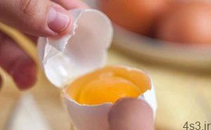 خبرهای پزشکی : انسولین از زرده تخم مرغ تولید شد سایت 4s3.ir