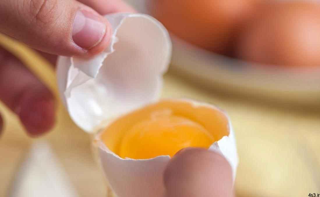 خبرهای پزشکی : انسولین از زرده تخم مرغ تولید شد