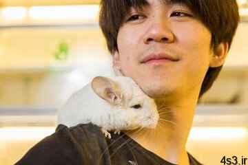 خبرهای پزشکی : اولین مورد انتقال کرونا از انسان به حیوان در هنگ کنگ ثبت شد