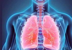 خبرهای پزشکی : با تنفس صحیح، ریه ها را تقویت کنید سایت 4s3.ir