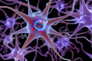 خبرهای پزشکی : بازسازی شبکه عصبی آسیب دیده با نوعی پروتئین سایت 4s3.ir