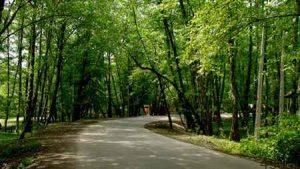 بزرگ ترین پارک‌های جنگلی ایران سایت 4s3.ir