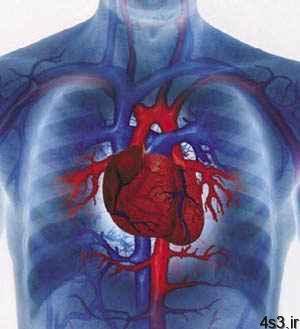 توصیه هایی برای پیشگیری از بیماریهای قلبی