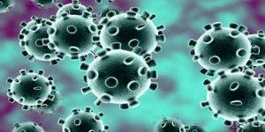 خبرهای پزشکی : ثبت اولین مورد ابتلا به ویروس کرونا در مصر سایت 4s3.ir