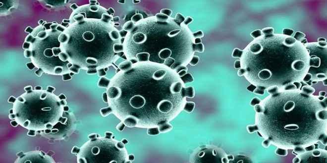 خبرهای پزشکی : ثبت اولین مورد ابتلا به ویروس کرونا در مصر