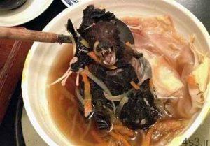خبرهای پزشکی : خفاش، موش، سوسک، سگ، قورباغه را ژاپنی ها وارد غذای چینی‌ها کردند؟ سایت 4s3.ir