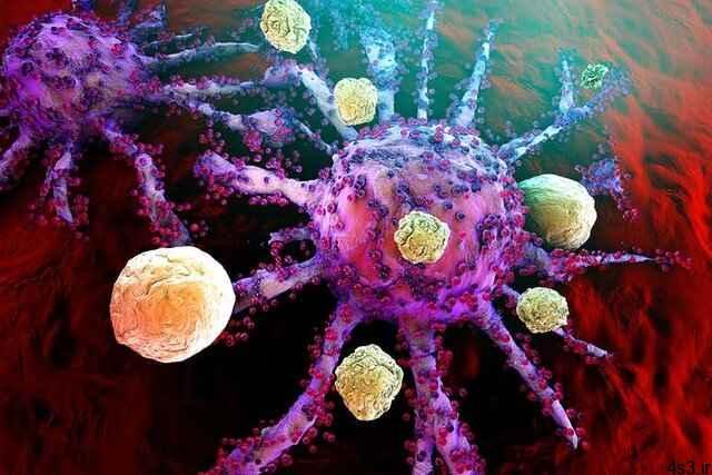 خبرهای پزشکی : درمان سرطان با تزریق نانوذرات مس!