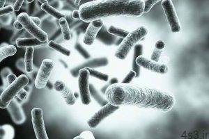 خبرهای پزشکی : ریزحامل‌هایی که باکتری‌ها را فریب می‌دهند! سایت 4s3.ir