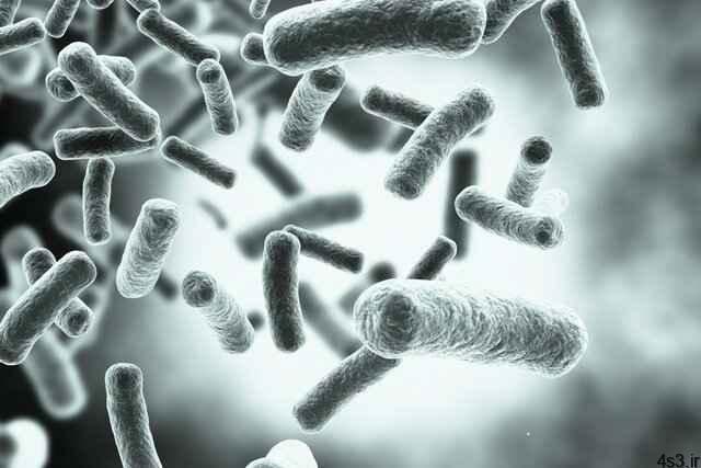 خبرهای پزشکی : ریزحامل‌هایی که باکتری‌ها را فریب می‌دهند!