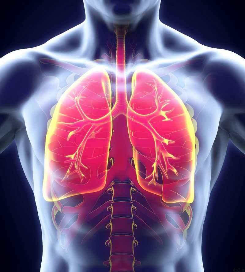 خبرهای پزشکی : ریه‌ها به طرز جادویی آسیب ناشی از استعمال سیگار را برطرف می‌کنند