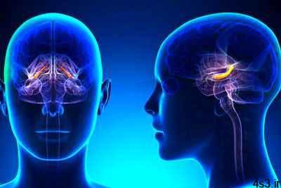 سه گانه‌ای برای پیشگیری از سکته مغزی