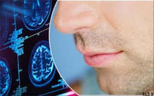 خبرهای پزشکی : شیوع اختلال بویایی و احتمال ارتباط با کرونا