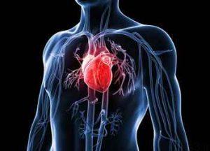 عادتهای نادرستی که سلامت قلب را به خطر می اندازد سایت 4s3.ir