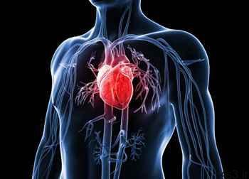 عادتهای نادرستی که سلامت قلب را به خطر می اندازد