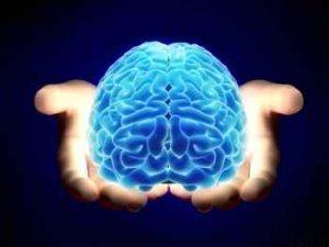 عواملی که قدرت و کارکرد مغز را کاهش می دهند سایت 4s3.ir