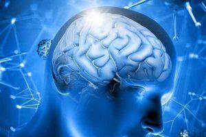 خبرهای پزشکی : فریز کردن مغز برای حیات دوباره در آینده سایت 4s3.ir