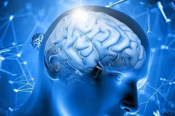 خبرهای پزشکی : فریز کردن مغز برای حیات دوباره در آینده