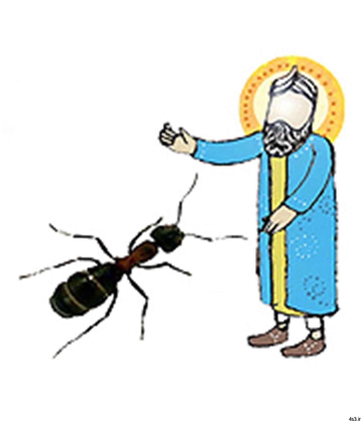 ماجرای صحبت حضرت سلیمان و مورچه