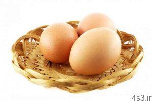 خبرهای پزشکی : مصرف روزانه تخم مرغ برای سلامت قلب مفید است سایت 4s3.ir