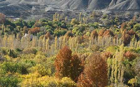 معرفی روستای سیرچ، بهشتی سرسبز در کویر