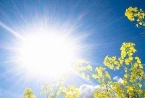 خبرهای پزشکی : نور خورشید با سندروم متابولیک مقابله می کند سایت 4s3.ir