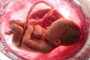 خبرهای پزشکی : هورمون درمانی از سقط جنین پیشگیری می کند سایت 4s3.ir