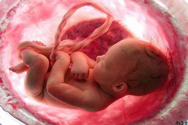 خبرهای پزشکی : هورمون درمانی از سقط جنین پیشگیری می کند