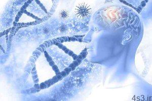 خبرهای پزشکی : وزنه برداری از مغز در مقابل بیماری آلزایمر محافظت می کند سایت 4s3.ir