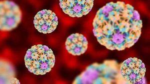 خبرهای پزشکی : ویروس‌ها عامل بسیاری از سرطان‌ها هستند سایت 4s3.ir